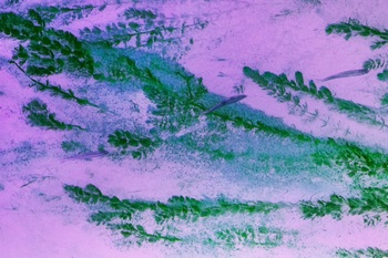 N 054A